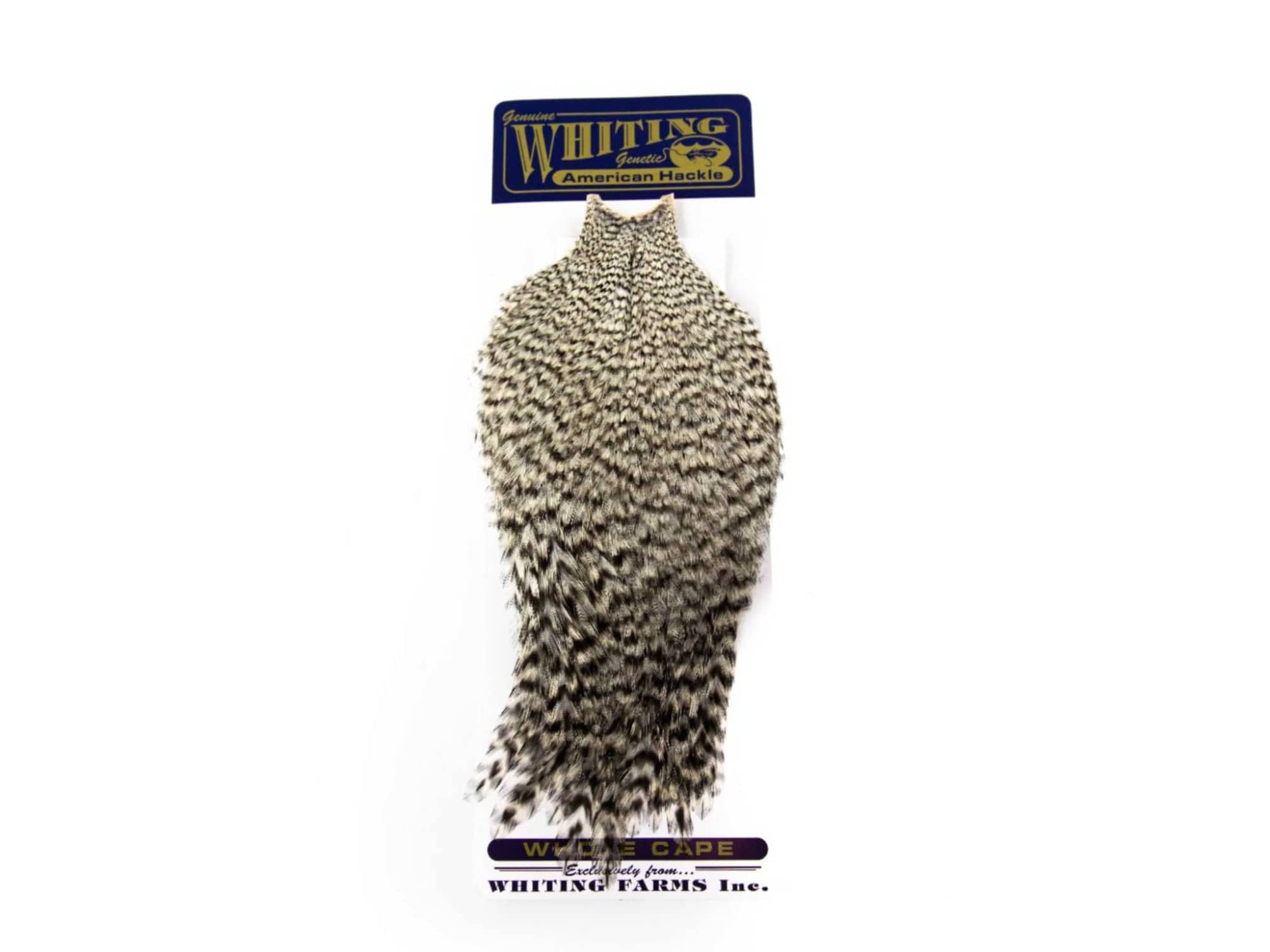 Whiting American Rooster Cape