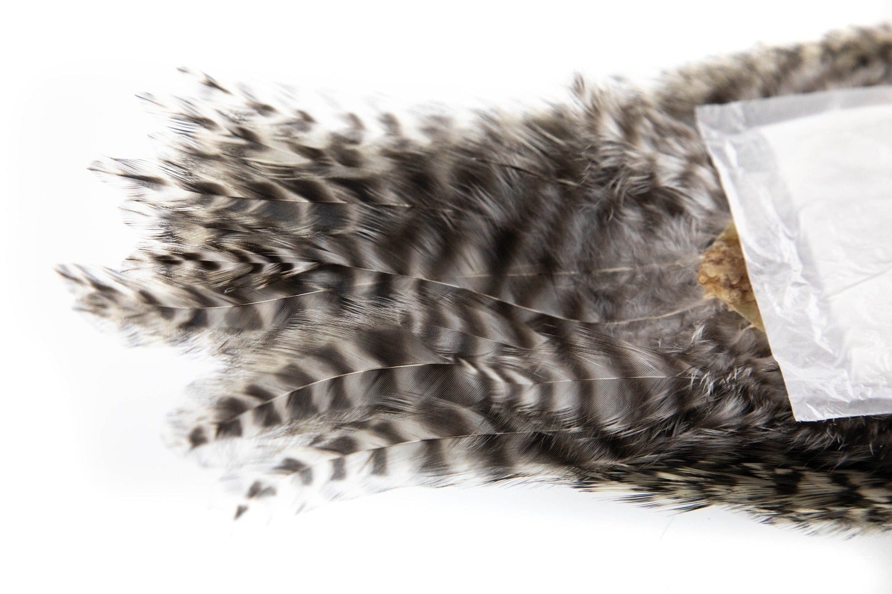Whiting American Rooster Cape