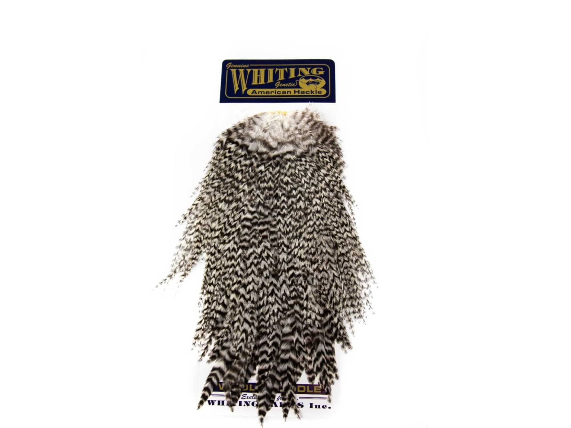 Whiting American Rooster Saddle