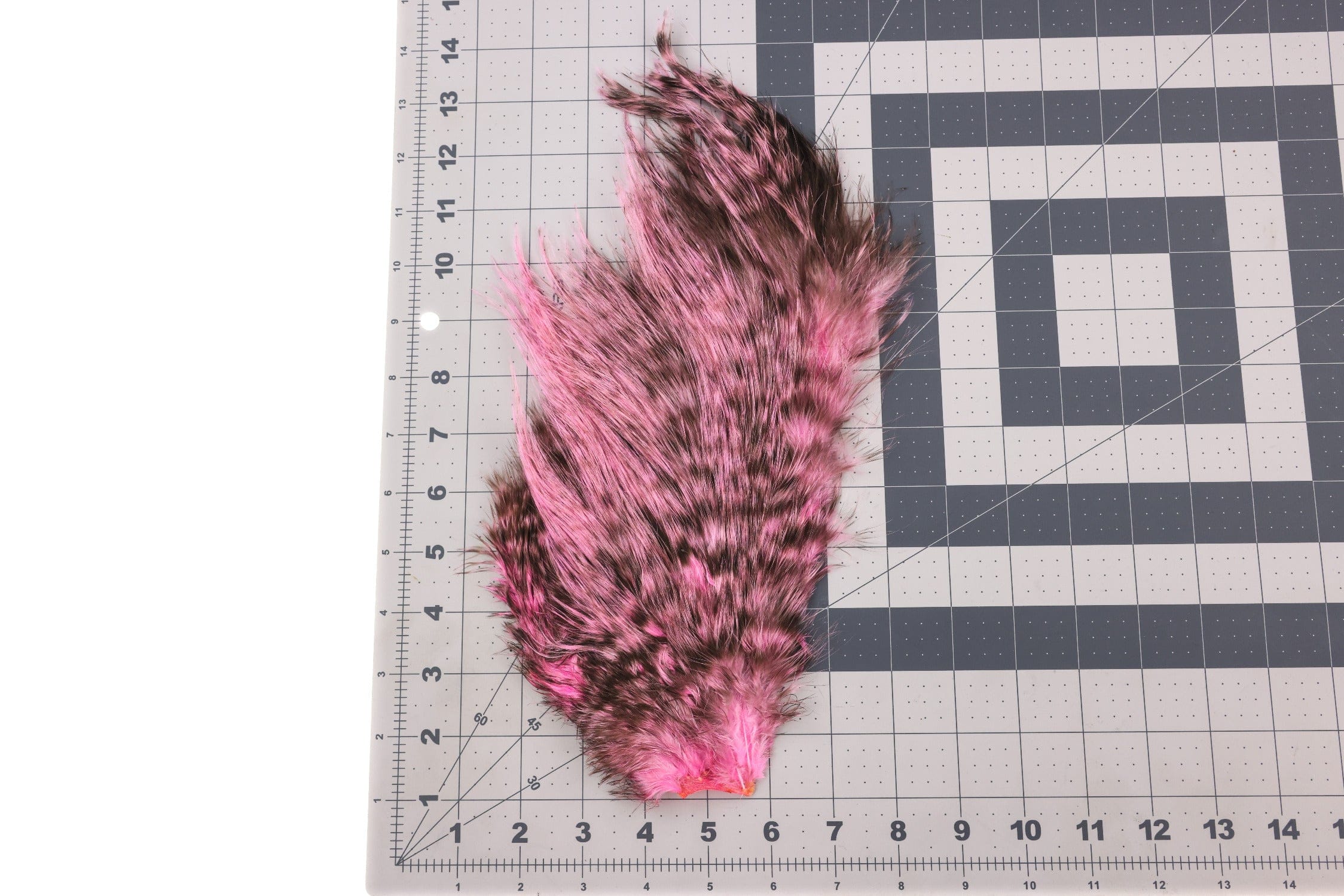 Whiting Bird Fur