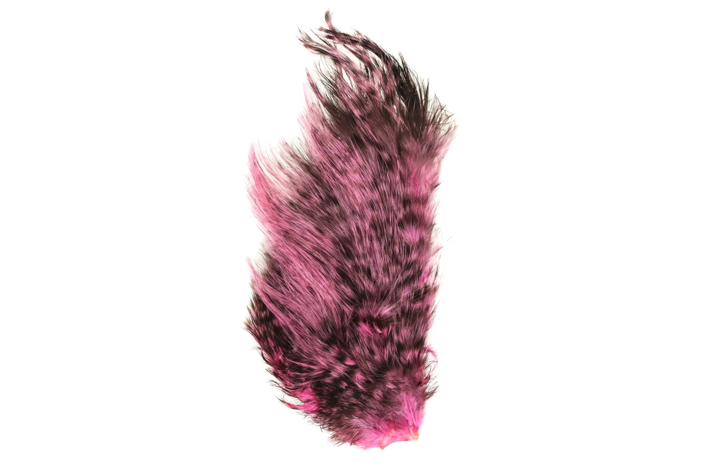 Whiting Bird Fur