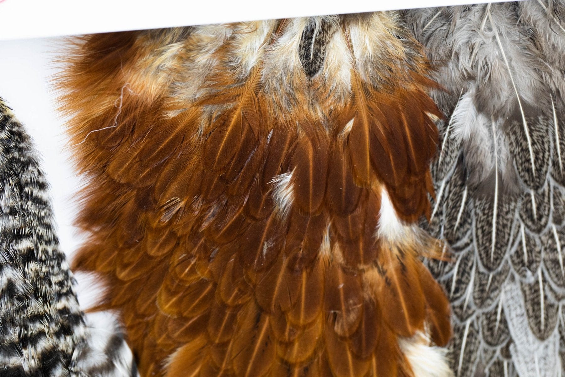 Whiting Combo Soft Hackle Pack