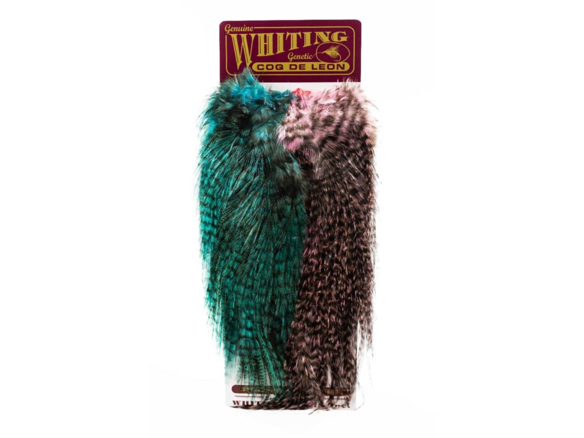 Whiting Coq De Leon Predator Pack