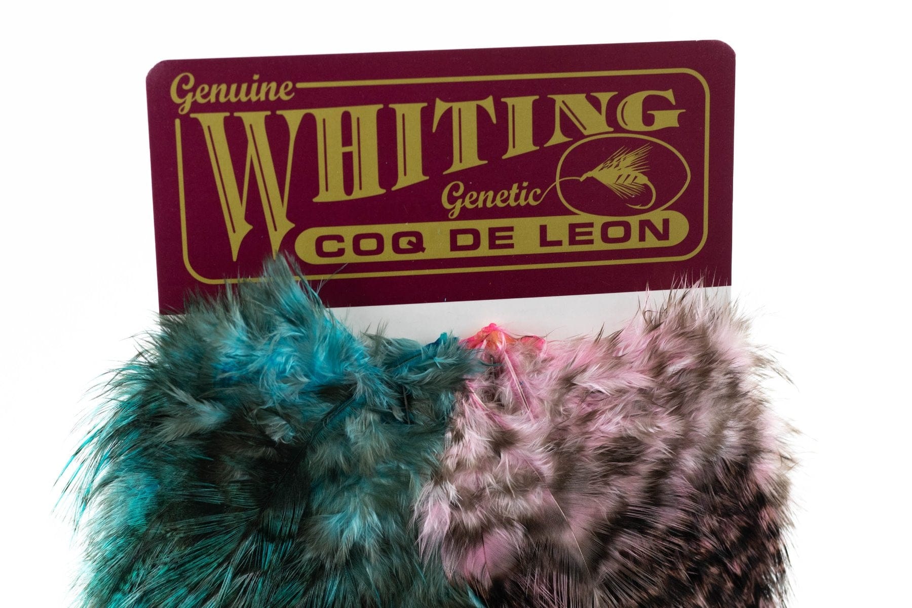 Whiting Coq De Leon Predator Pack
