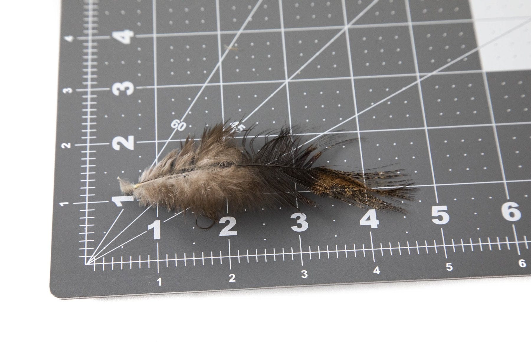 Whiting Coq De Leon Tailing Pack