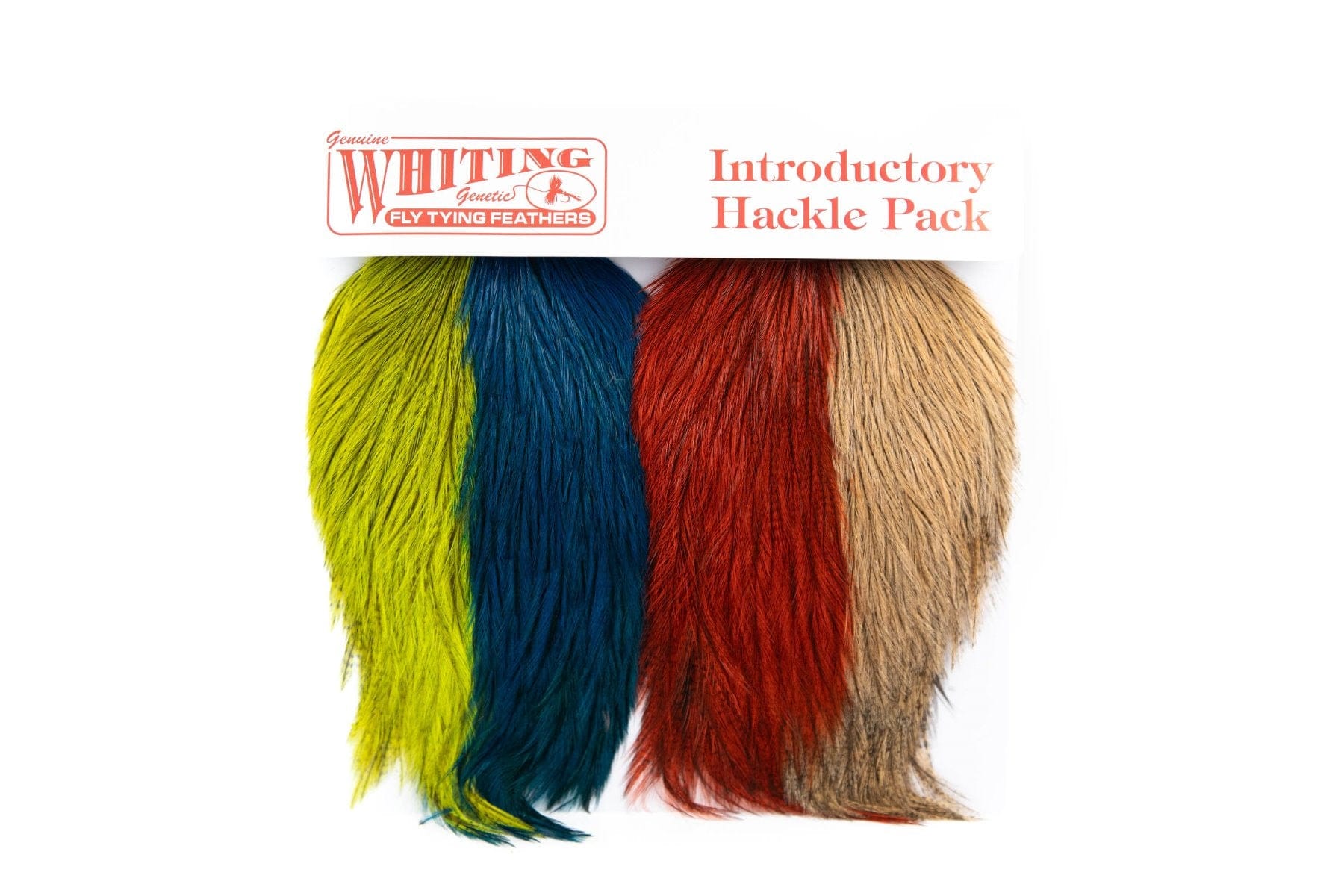 Whiting Coq De Leon Versa Pack - Assorted Colors