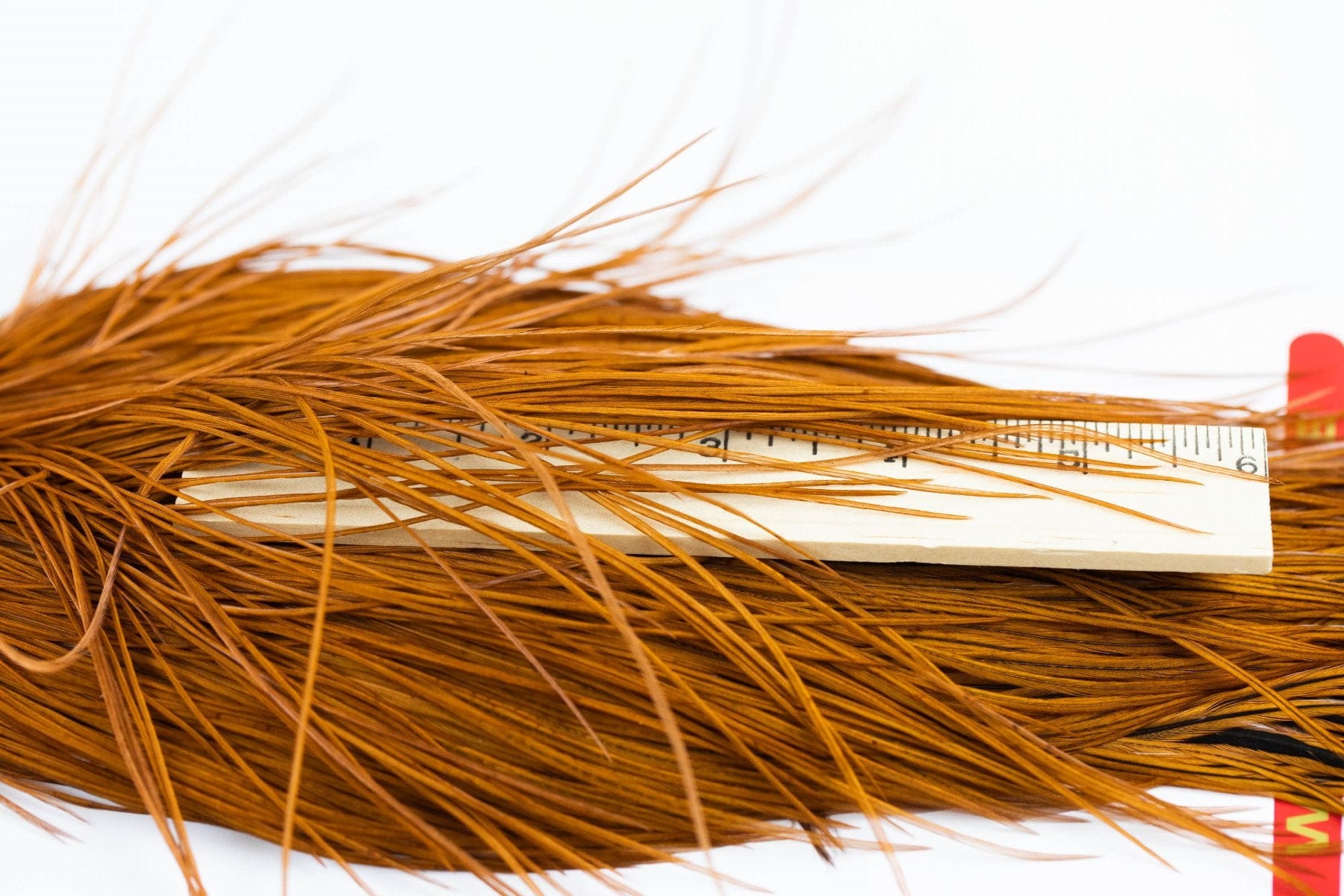 Whiting Dry Fly Hackle Full Cape