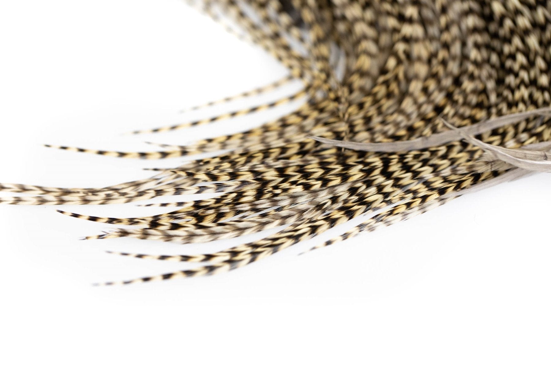 Whiting Dry Fly Hackle Full Saddle