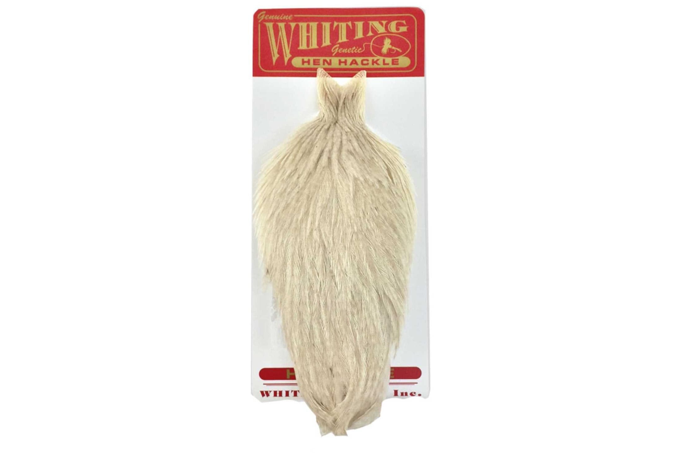 Whiting Hen Cape