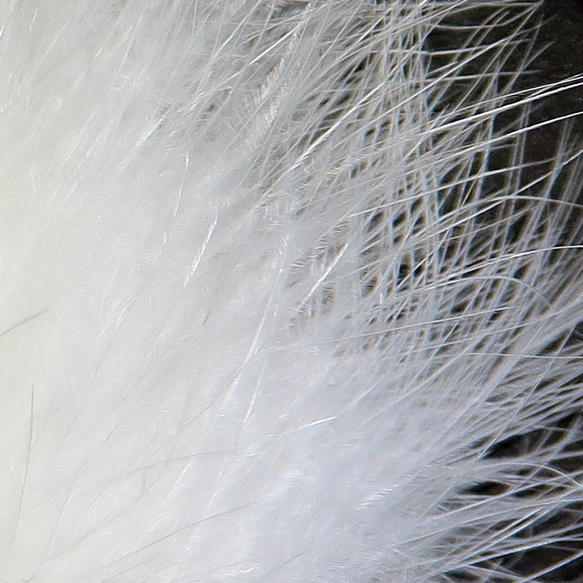 Hareline Extra Select Marabou Feathers