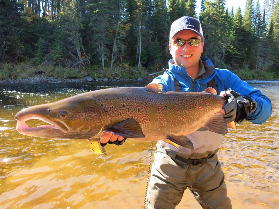 Sage Method 7126 Spey Rod Review: The Star Destroyer