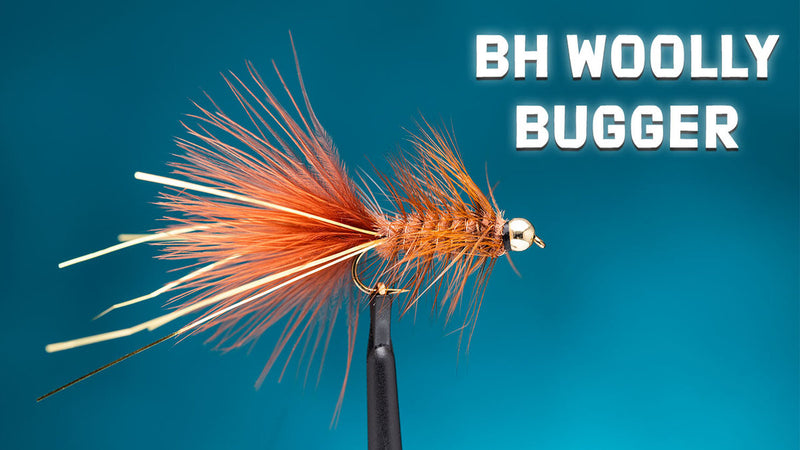 How to Tie The Bead Head Wooly Bugger Fly | Trident Fly Fishing