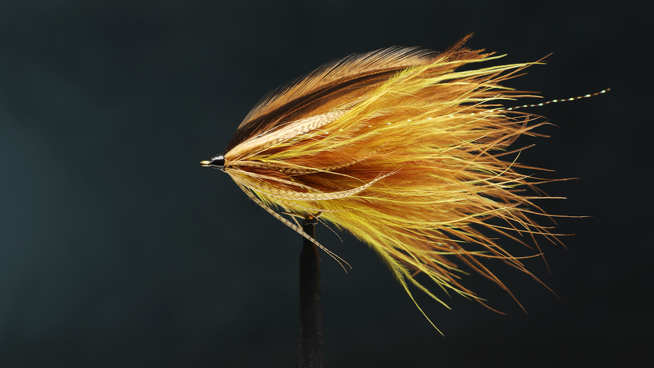 How to Tie the Platte River Spider Streamer Fly