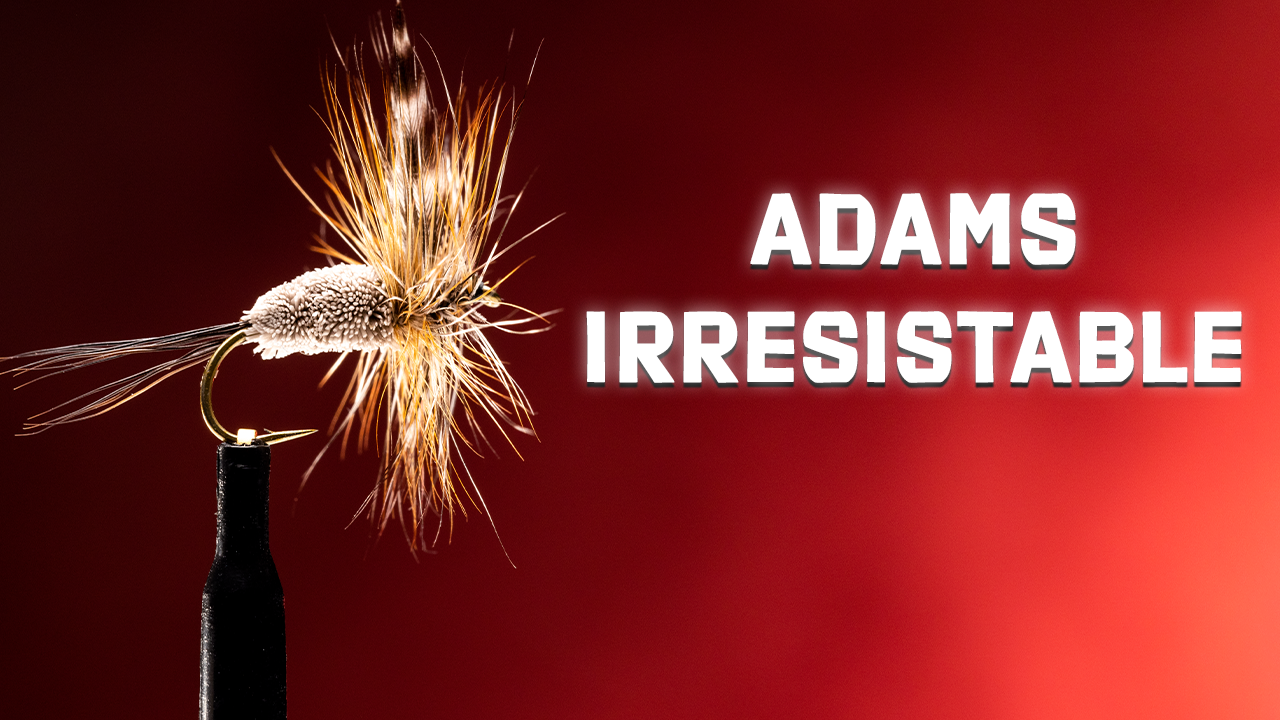 How to Tie the Adams Irresistible Fly Pattern