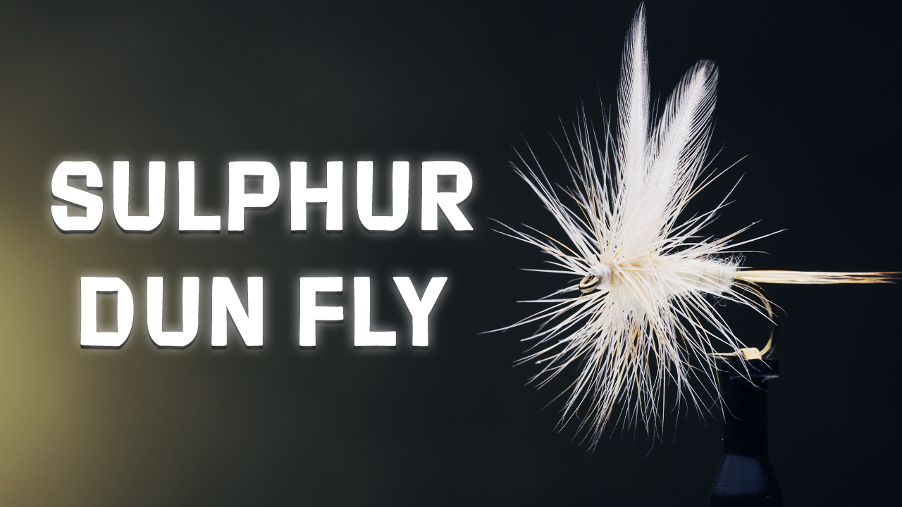 How to Tie the Sulphur Dun Dry Fly