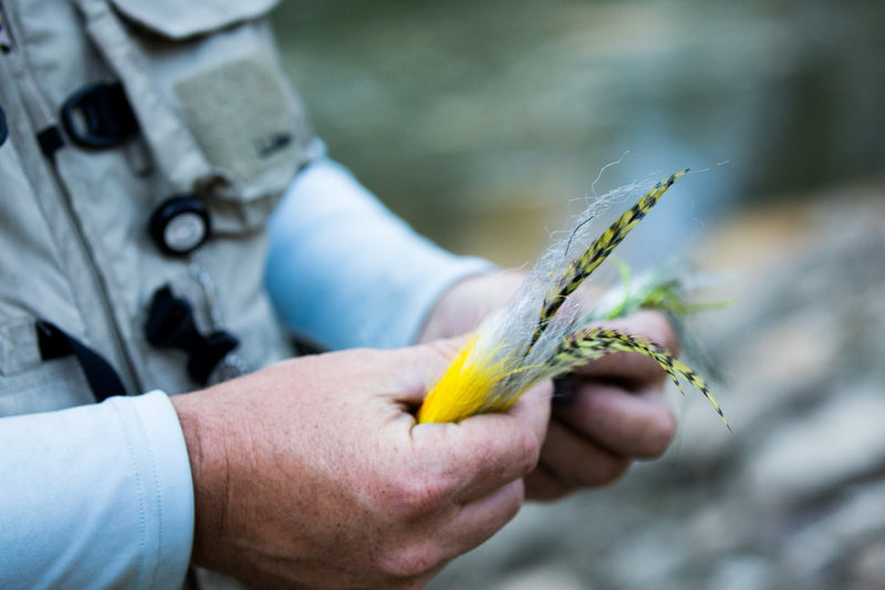 How to Choose the Best Fly Rod for Bass