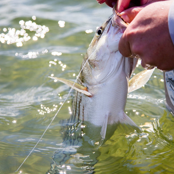 best g loomis steelhead rod G Loomis GCX Steelhead Centerpin Fishing Rod  Drift Outfitters