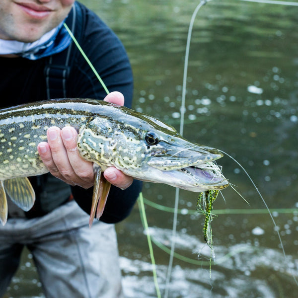 best fly reel for pike A.Jensen # 8/10 ajensenflyfishing How To Fly Fish for