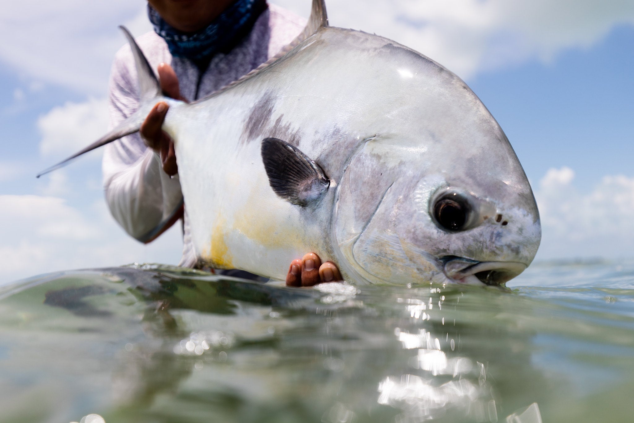 The Top 10 Best Permit Flies