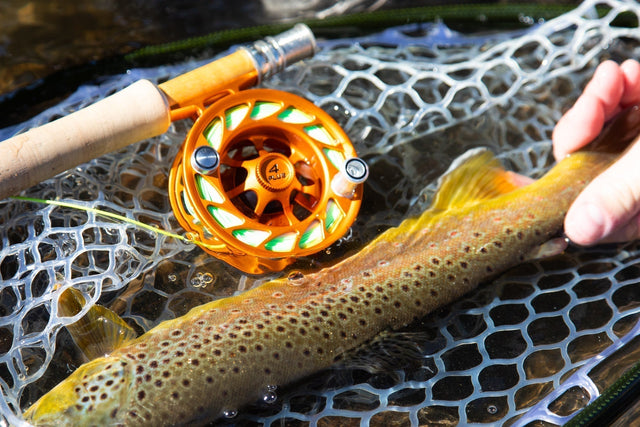 Best All-Around 5-Weight Fly Rod: Buyer's Guide