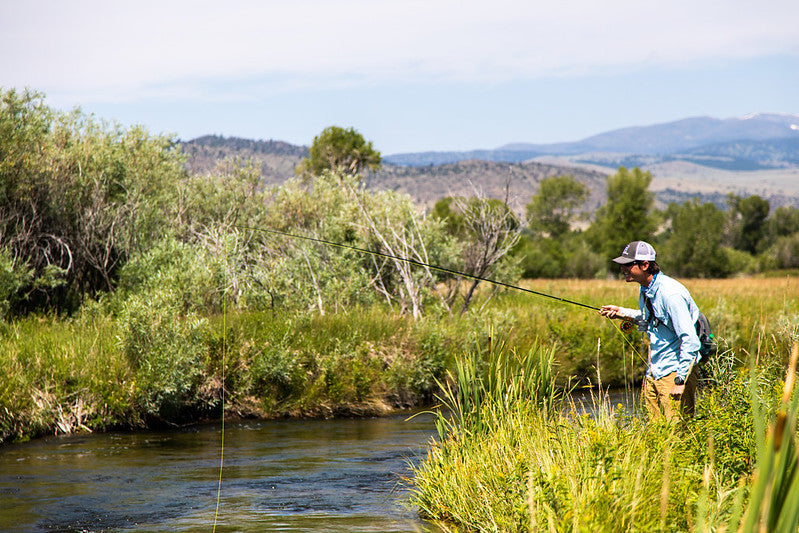How to Choose the Best Trout Flies for Small Streams