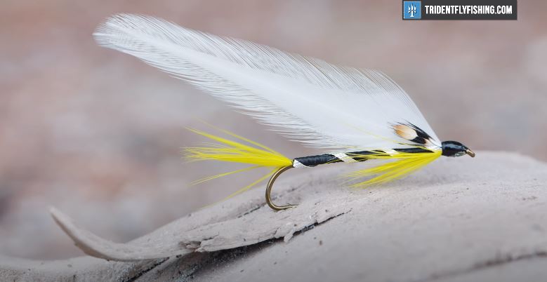 How to Tie a Black Ghost Streamer