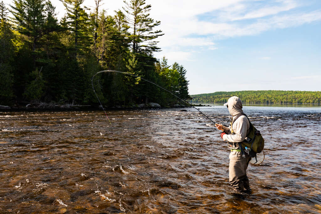 Best 4wt Fly Rods of 2026