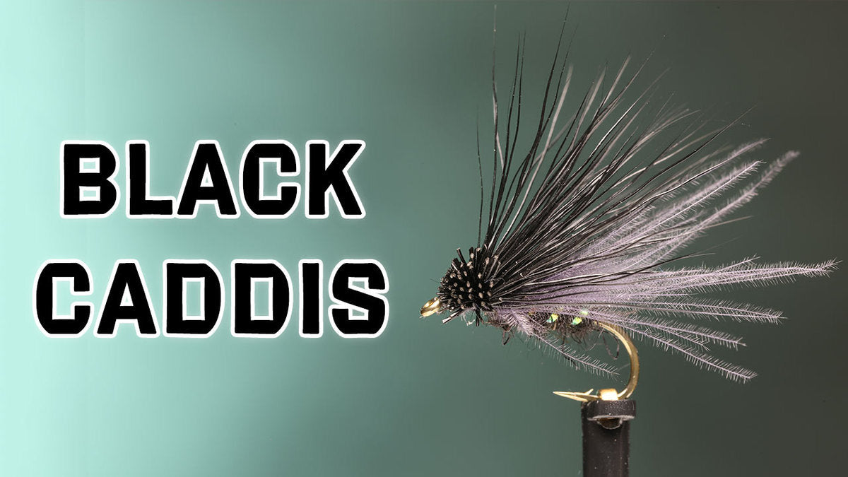 How to Tie the Black Caddis Dry Fly Pattern