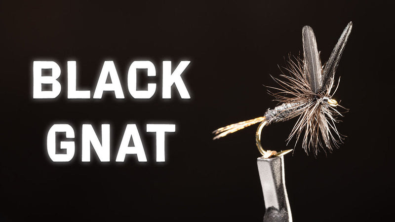 How to Tie the Black Gnat Dry Fly