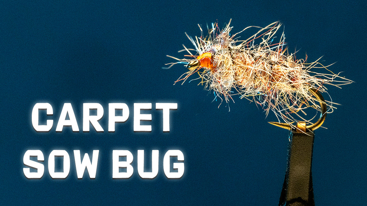 How to Tie the Carpet Bug Fly Pattern