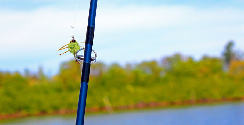 Best Flies for Turneffe Atoll Belize: Saltwater Fly Patterns