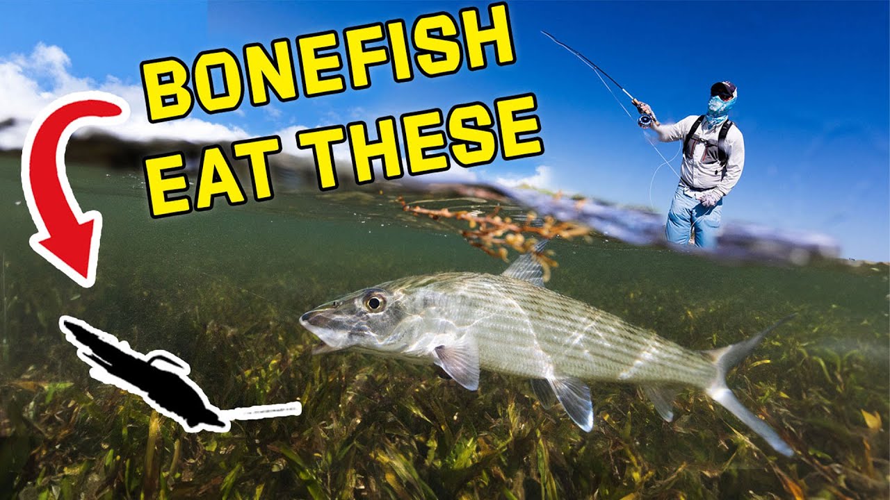 Top 10 Must-Have Flies for the Bahamas