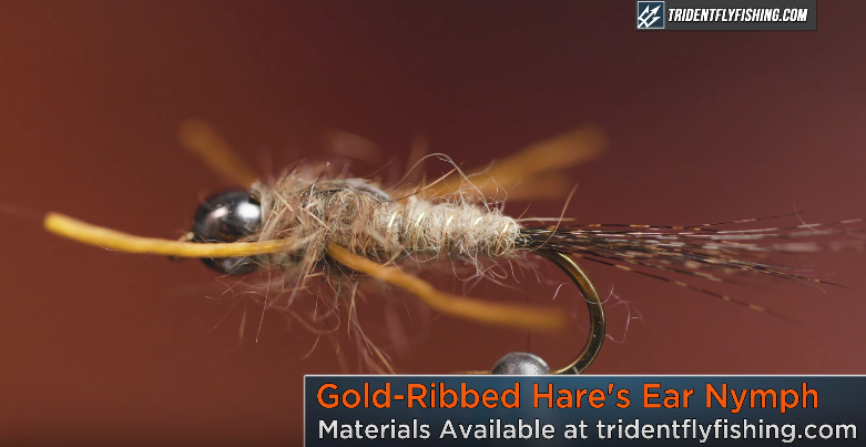 How to Tie a Gold-Ribbed Hare's Ear