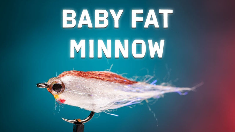How to Tie the Baby Fat Minnow Streamer