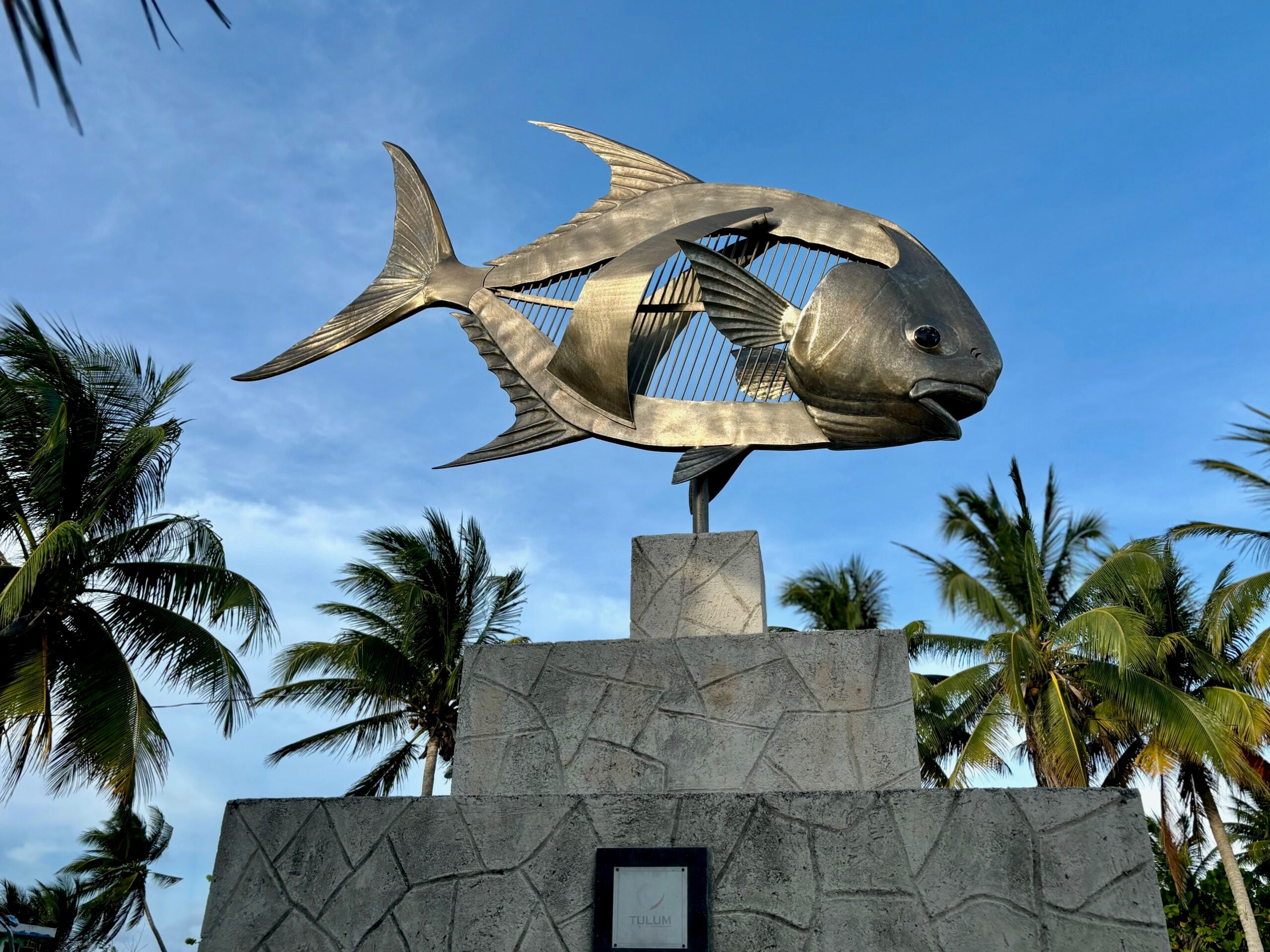 Trip Report: The Palometa Club, Mexico - June 2024