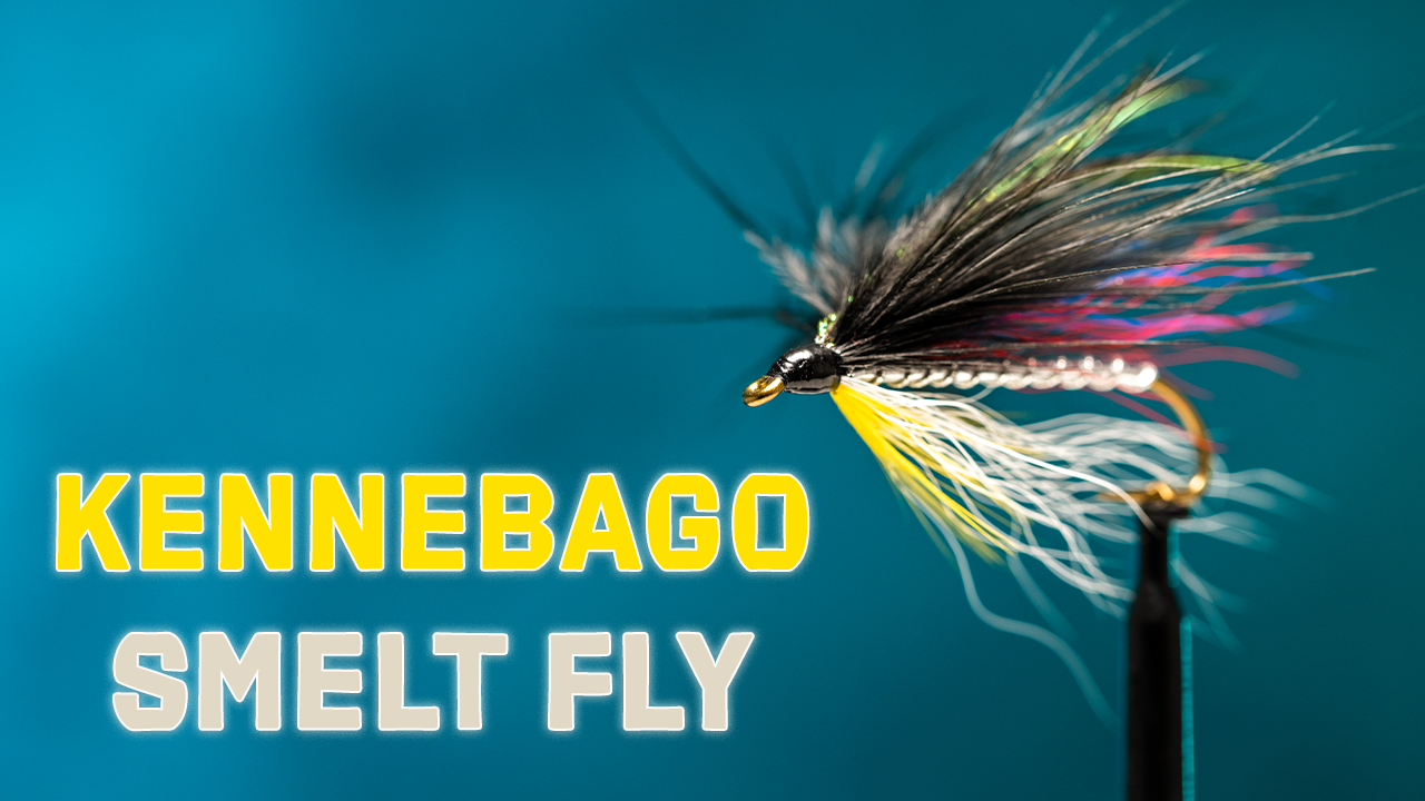 How to Tie the Kennebago Smelt Pattern