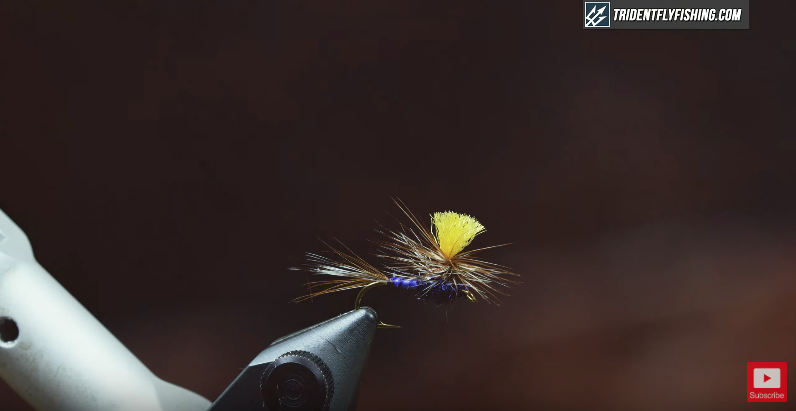 How to Tie a Purple Haze Dry Fly