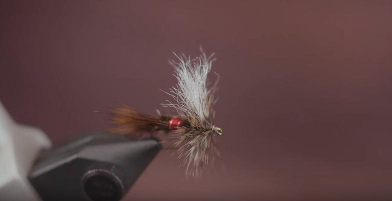 How to Tie a Royal Wulff Dry Fly