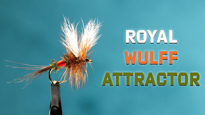 How to Tie the Royal Wulff Attractor Fly | Trident Fly Fishing