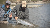 Trip Report: Skeena River Lodge, British Columbia - April 2026