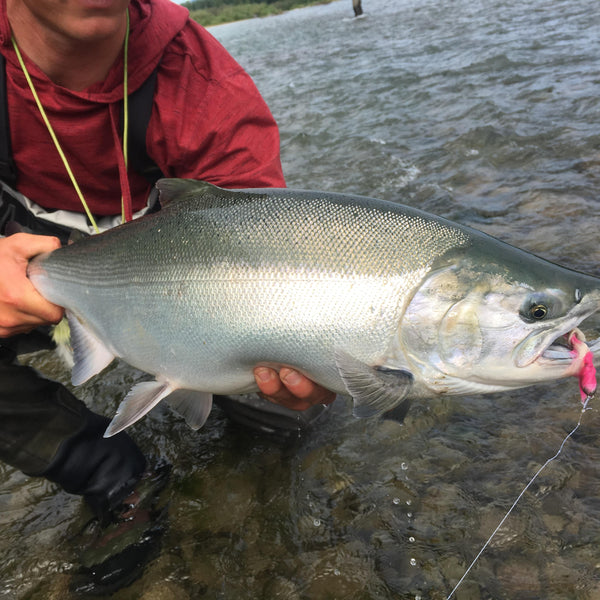 best fly rod for alaska salmon fishing 9' 5wt AK (Alaska Fly Rod) MY FISHING ROD SETUP FOR