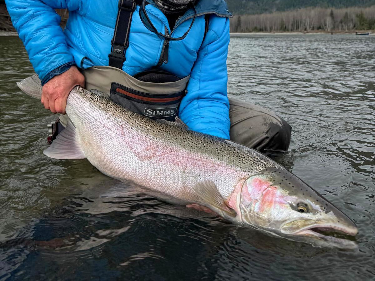 How to Choose the Best Steelhead Flies