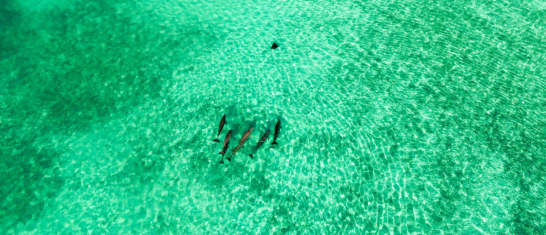Turneffe Flats Belize: Activities and Things to Do Beyond Fishing