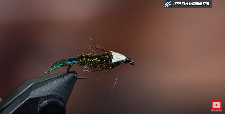 How to Tie the Zug Bug Nymph Fly