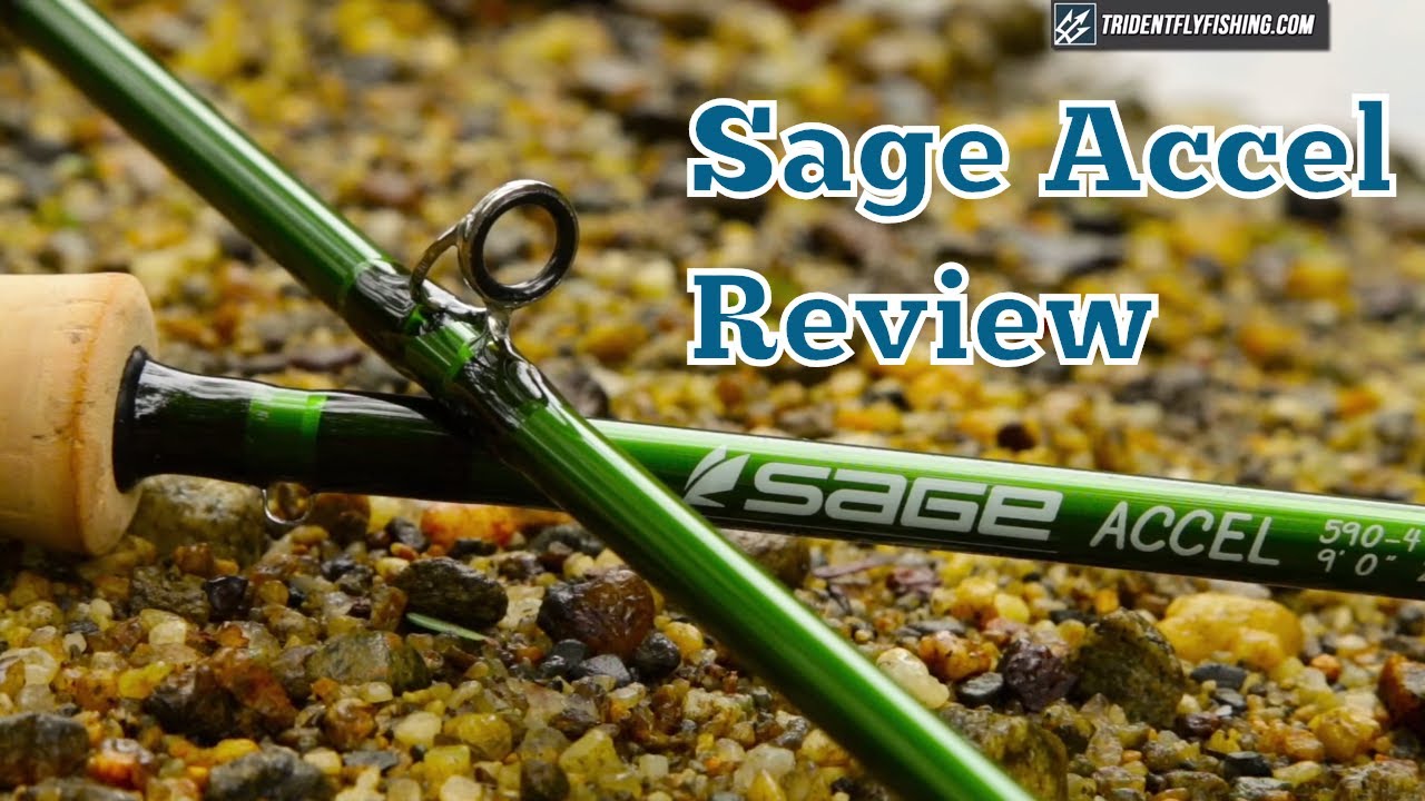 Sage Accel Fly Rod Review | Trident Fly Fishing
