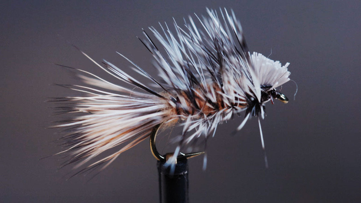 How To Tie The Dyret