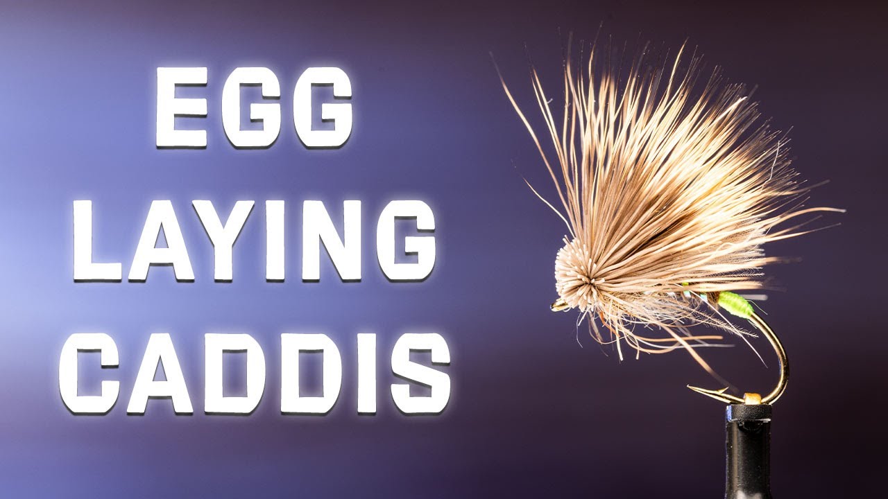 How To Tie The Egg Laying Caddis