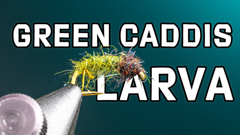 How To Tie A Green Caddis Larva