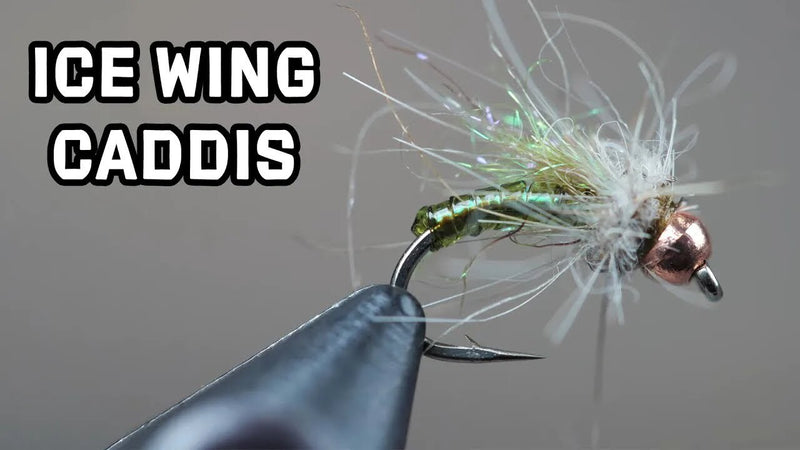 How To Tie the Ice Wing Caddis