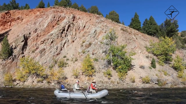 Read This Before Fly Fishing in New Zealand